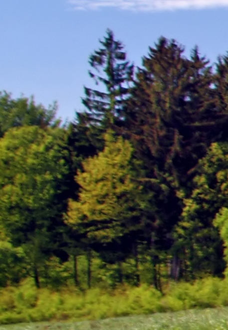 foto k příspěvku  od Crimson