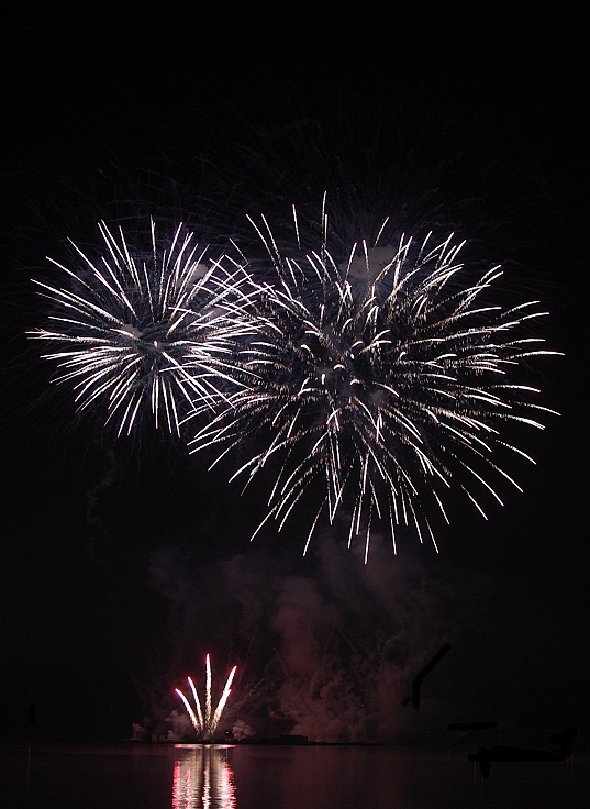 foto k příspěvku  od Toy