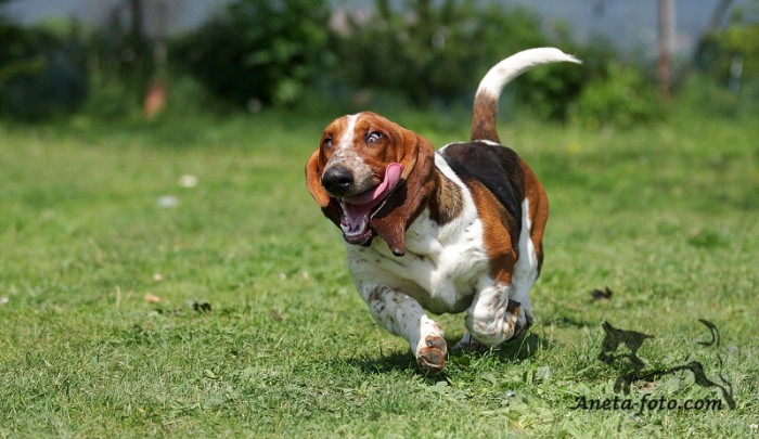 foto k příspěvku  od madaros