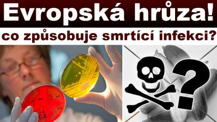 foto k příspěvku  od Schejby