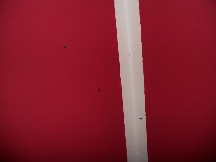 foto k příspěvku  od dolph