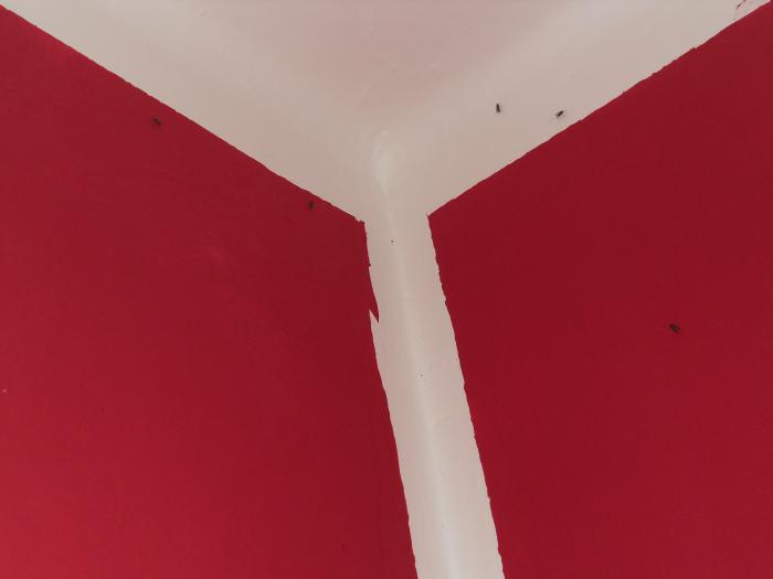 foto k příspěvku  od dolph