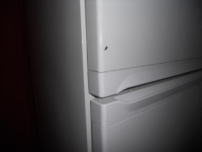 foto k příspěvku  od dolph