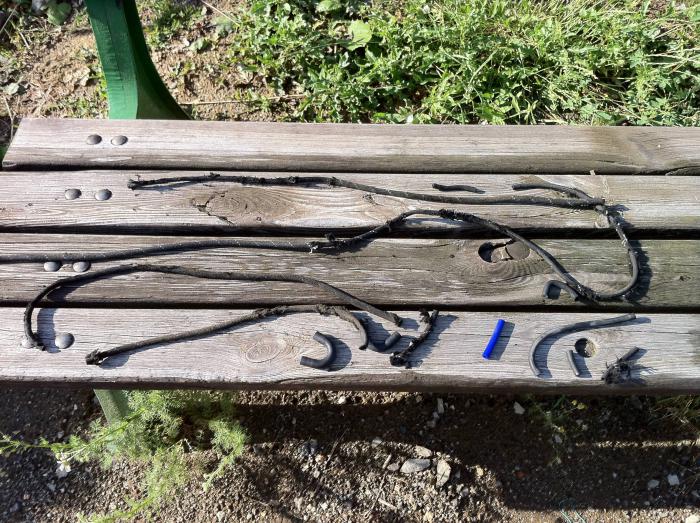 foto k příspěvku  od Knightey-