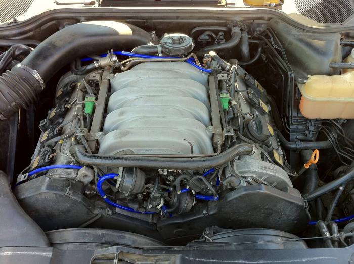 foto k příspěvku  od Knightey-