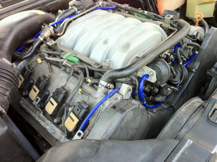 foto k příspěvku  od Knightey-