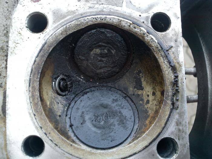 foto k příspěvku  od hawai