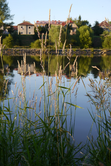 foto k příspěvku  od Crimson