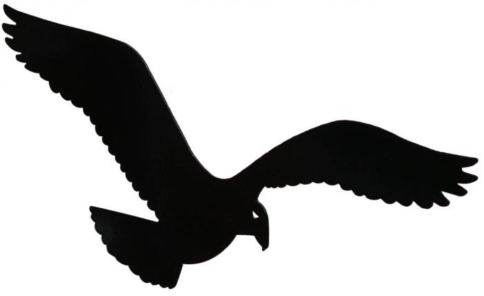 foto k příspěvku  od Lukasino