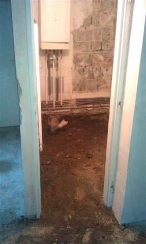 foto k příspěvku  od madaros