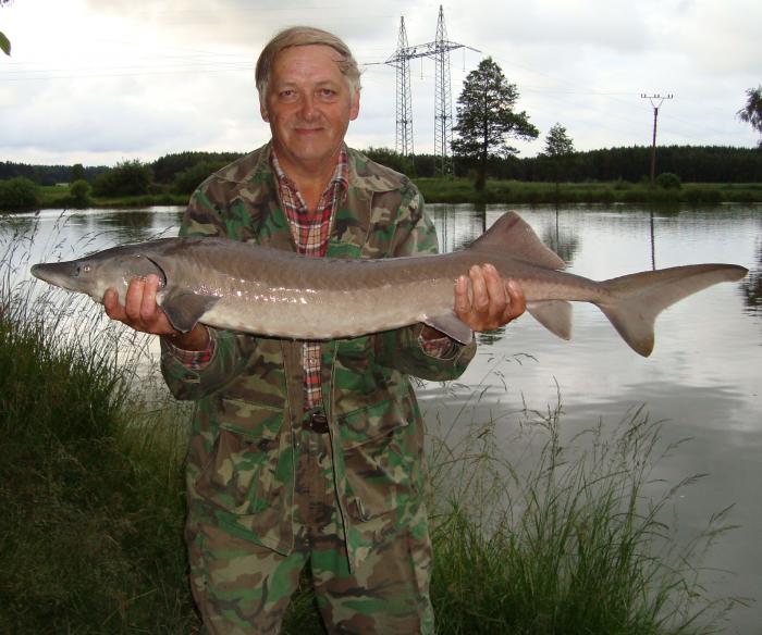 foto k příspěvku  od X-sat