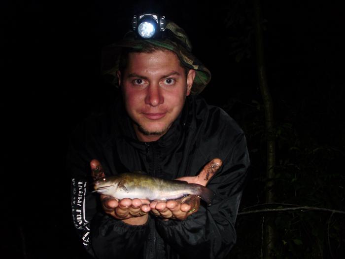 foto k příspěvku  od Kesam