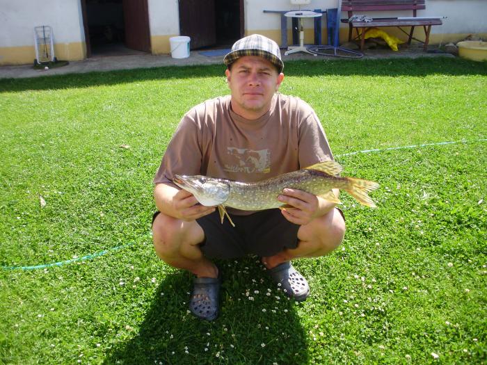 foto k příspěvku  od Kesam