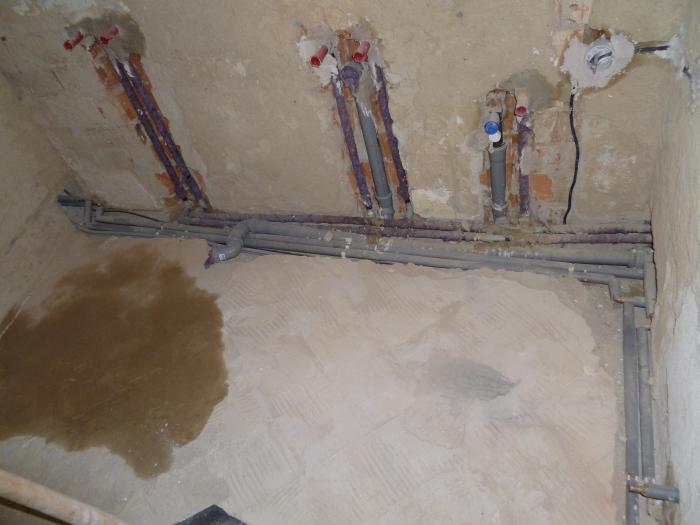 foto k příspěvku  od Ravo