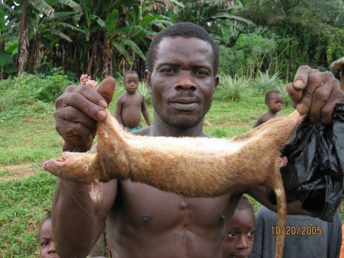 foto k příspěvku  od CervinVega