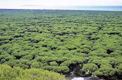 foto k příspěvku  od Crimson