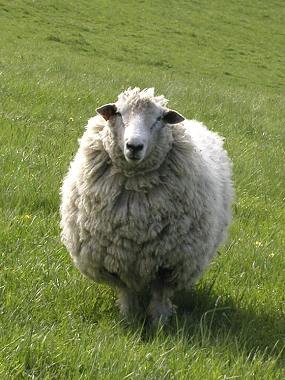 foto k příspěvku  od PlusOne