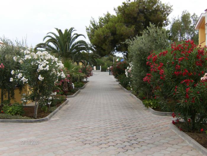 foto k příspěvku  od nocarret