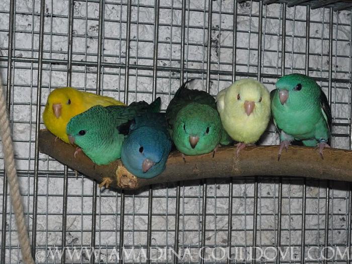 foto k příspěvku  od luda551