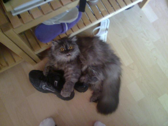 foto k příspěvku  od PlusOne