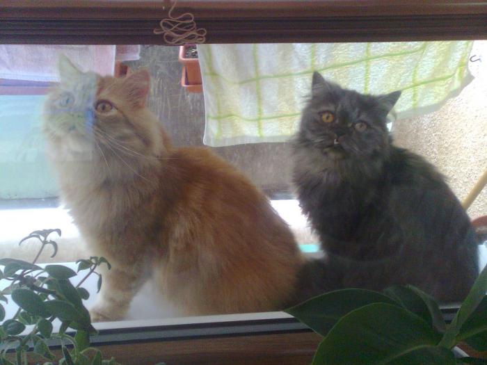 foto k příspěvku  od PlusOne