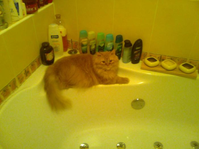 foto k příspěvku  od PlusOne