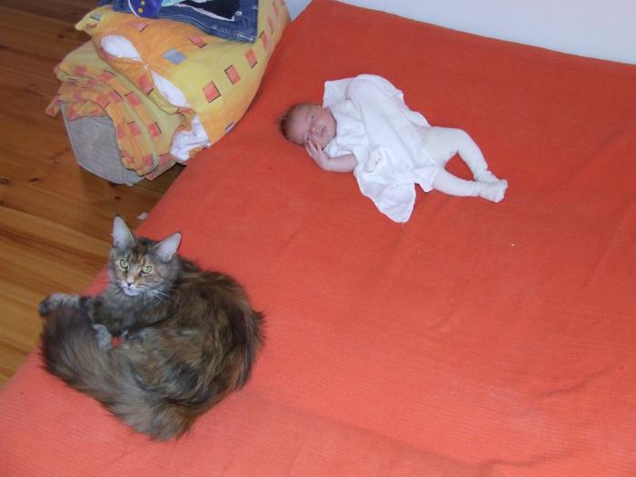 foto k příspěvku  od xSam