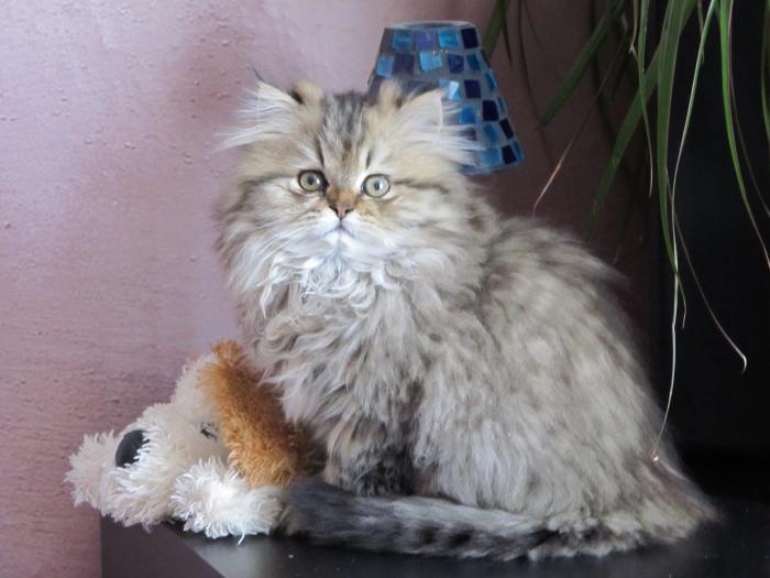 foto k příspěvku  od clown