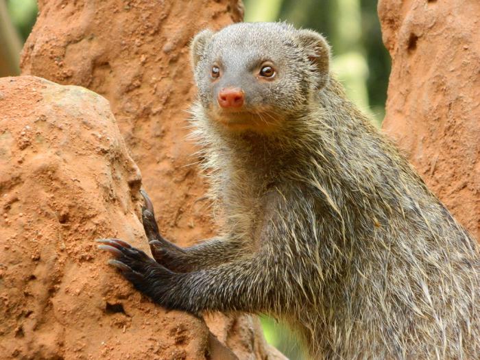 foto k příspěvku  od Arnie_one