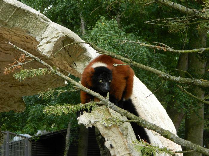 foto k příspěvku  od Arnie_one