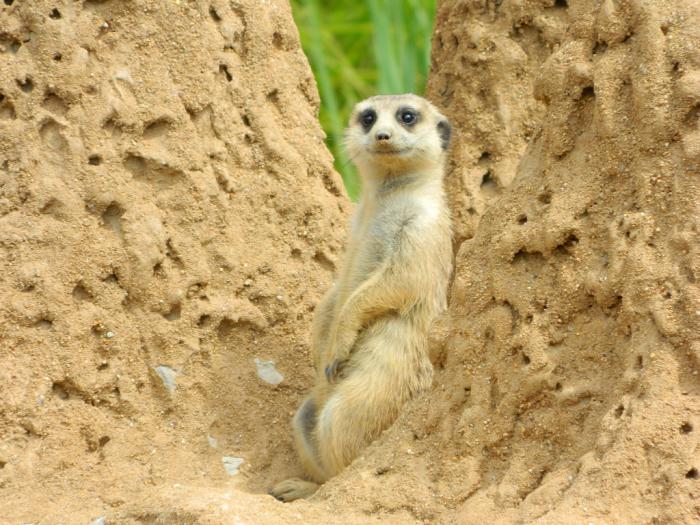 foto k příspěvku  od Arnie_one