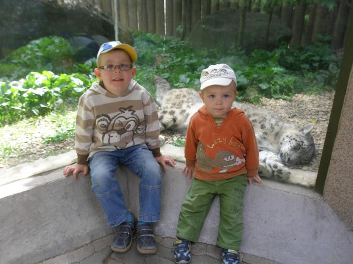 foto k příspěvku  od jura.j