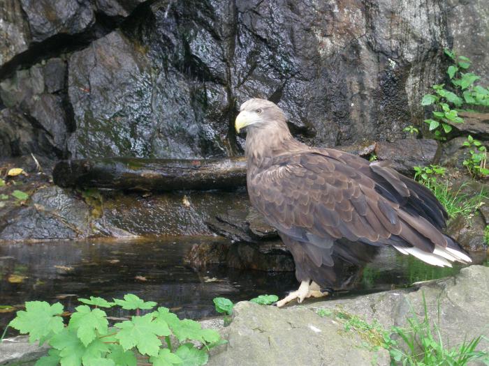 foto k příspěvku  od jura.j