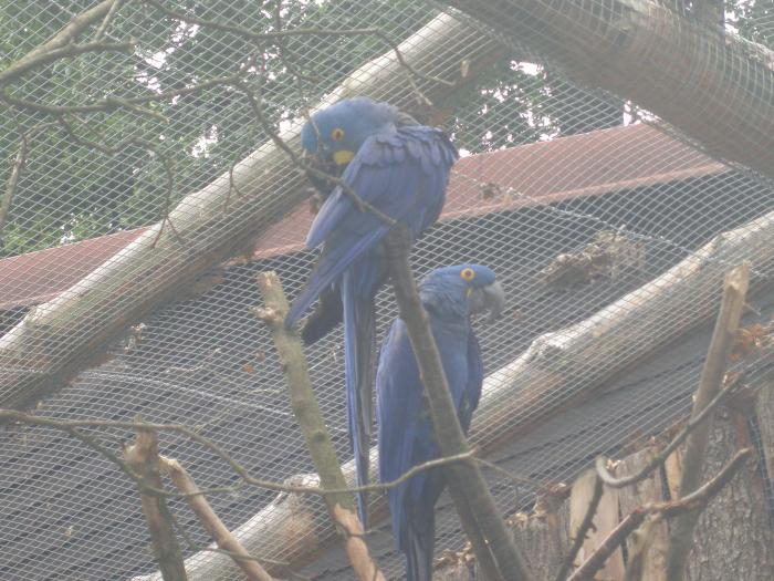 foto k příspěvku  od jura.j