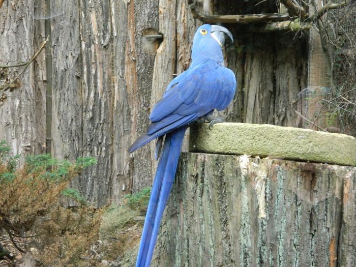 foto k příspěvku  od Arnie_one