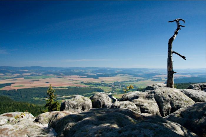 foto k příspěvku  od kondor