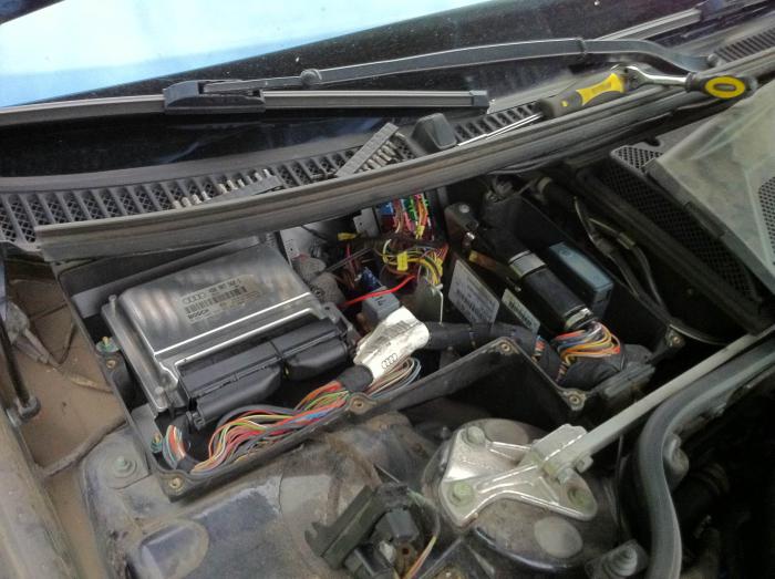 foto k příspěvku  od Knightey-