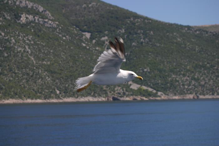 foto k příspěvku  od TT