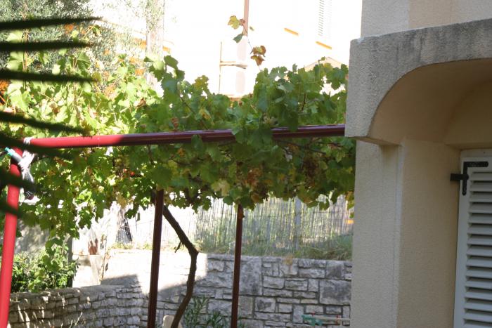 foto k příspěvku  od TT