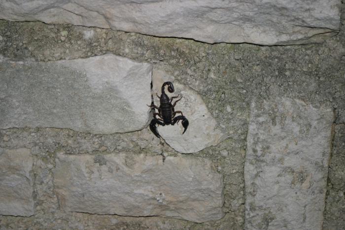 foto k příspěvku  od TT