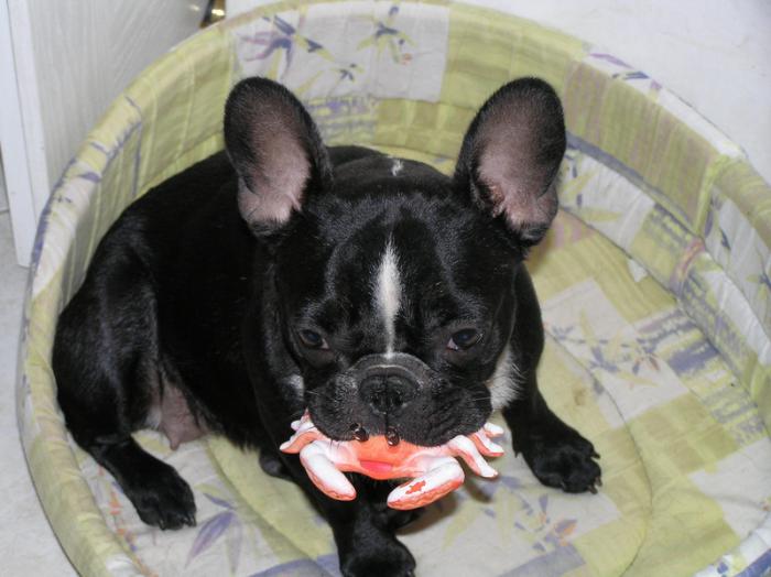 foto k příspěvku  od SEKIN