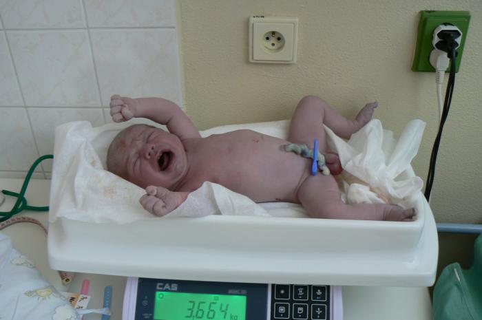 foto k příspěvku  od Milhauzz