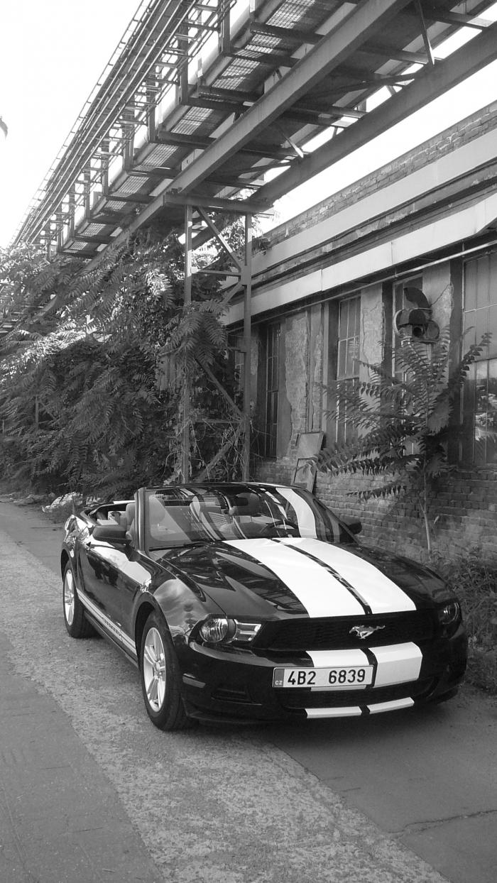 foto k příspěvku  od Mika