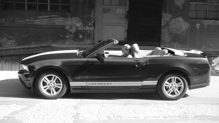 foto k příspěvku  od Mika