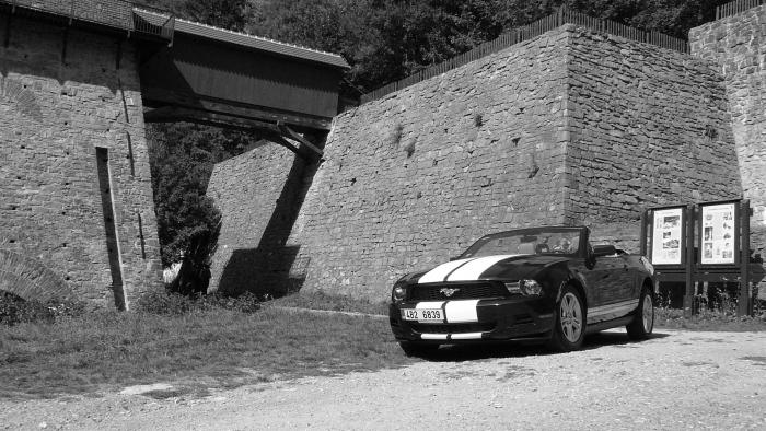 foto k příspěvku  od Mika