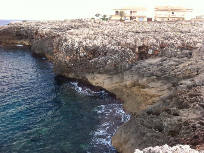 foto k příspěvku  od Pajk