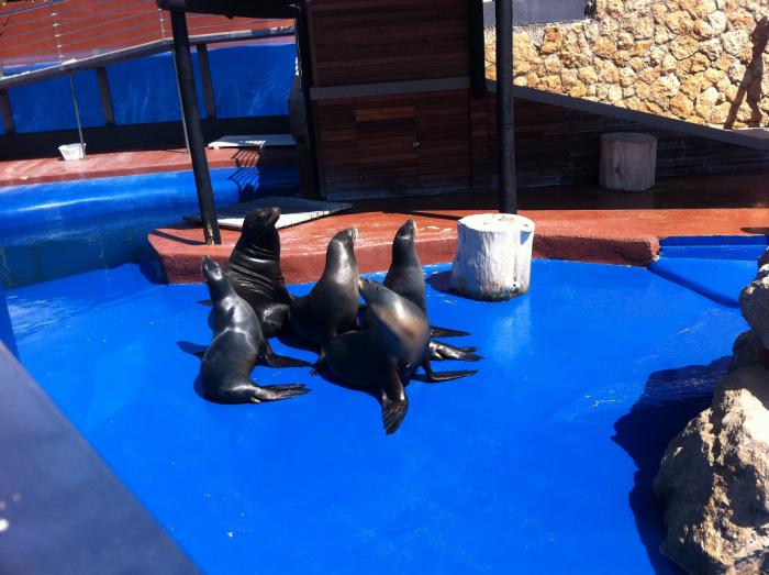 foto k příspěvku  od Pajk