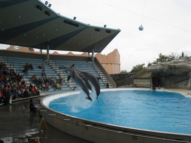 foto k příspěvku  od LUPO