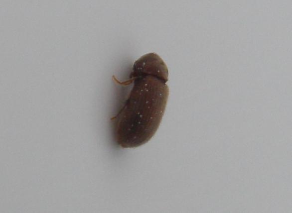 foto k příspěvku  od cendler