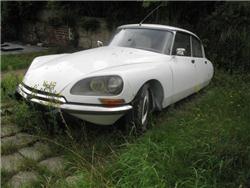 foto k příspěvku  od matis77